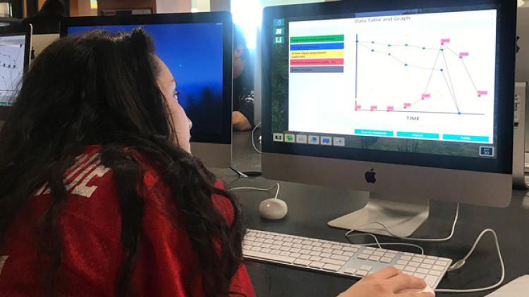 Photo of a girl looking at a chart on a computer