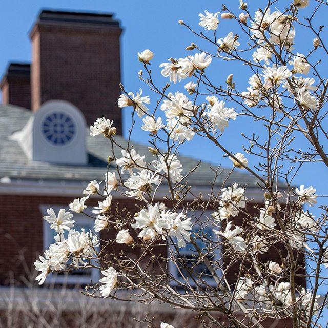 Longfellow Hall in spring