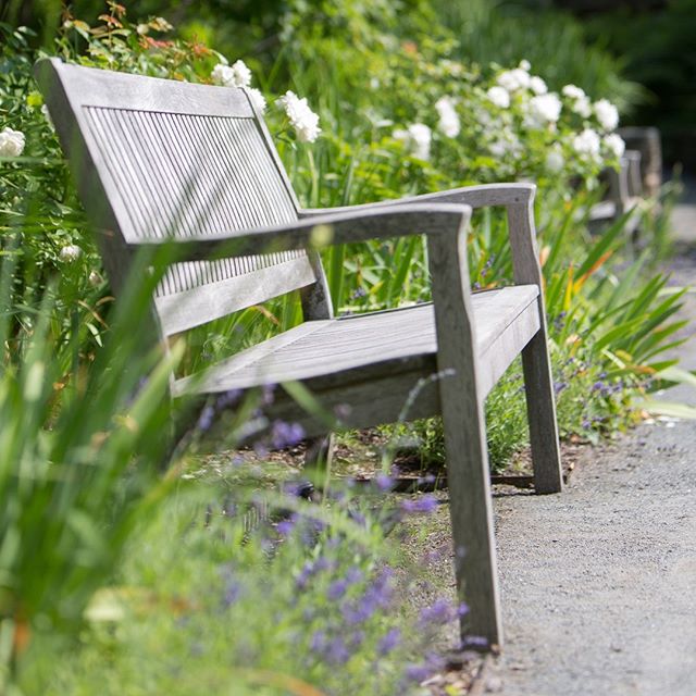 bench in Sunken Garden