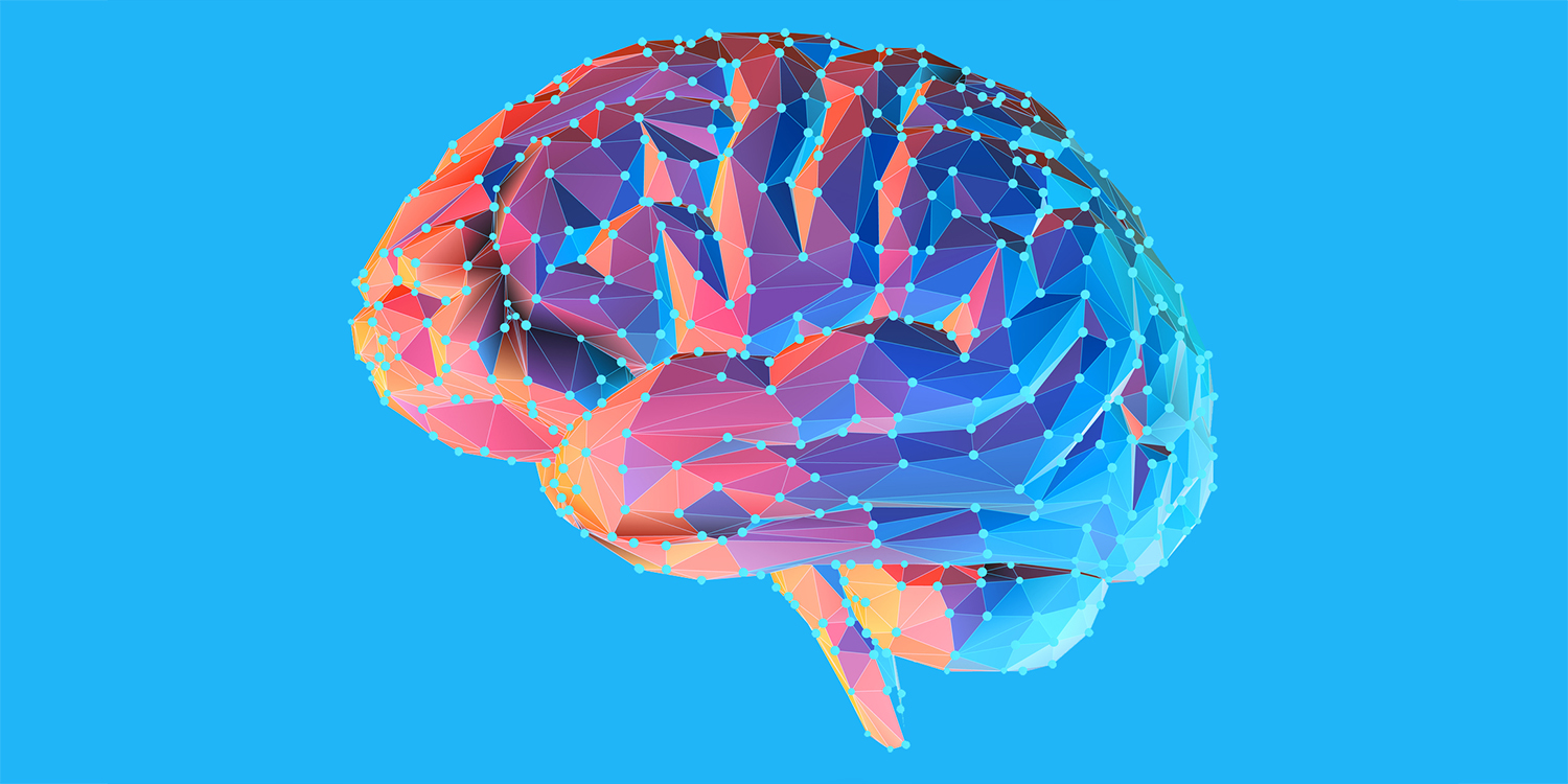 Brain illustration