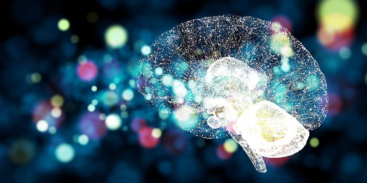 Brain illustration