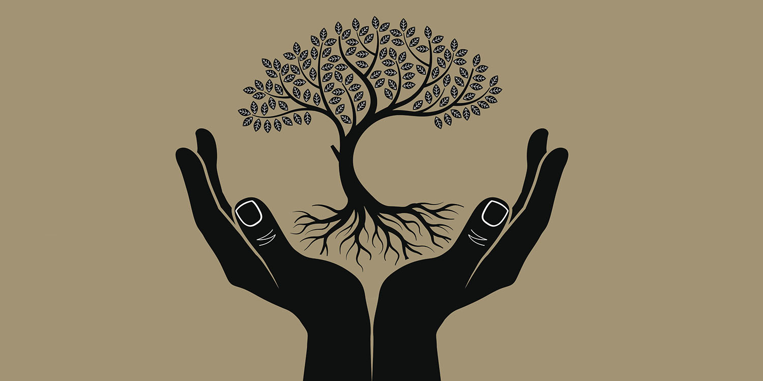 Silouette of hands holding up a rooted tree