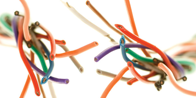 Image result for conscientious connectivity meaning