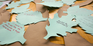 Leaves