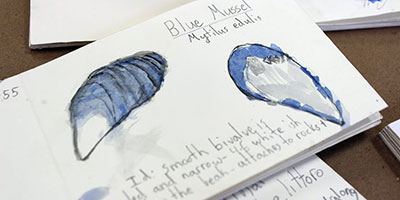 Designing a Better Field Trip