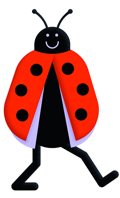 Ladybug Illustration