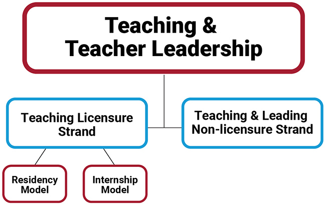 Teaching and Teacher Leadership Program hierarchy outline