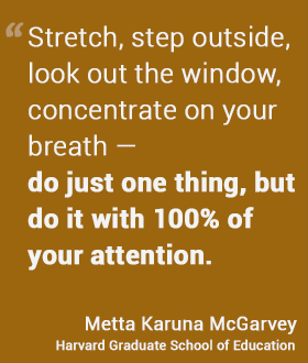 Stretch, step outside, look out the window, concentrate on your breath — do just one thing, but do it with 100% of your attention. - McGarvey, HGSE