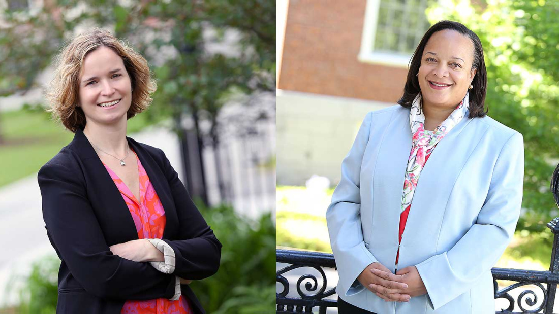 Nonie Lesaux and Bridget Terry Long