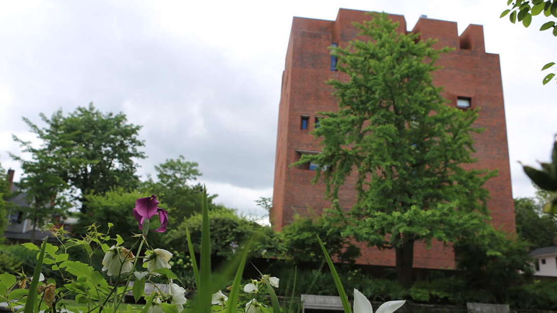 Larsen from Sunken Garden