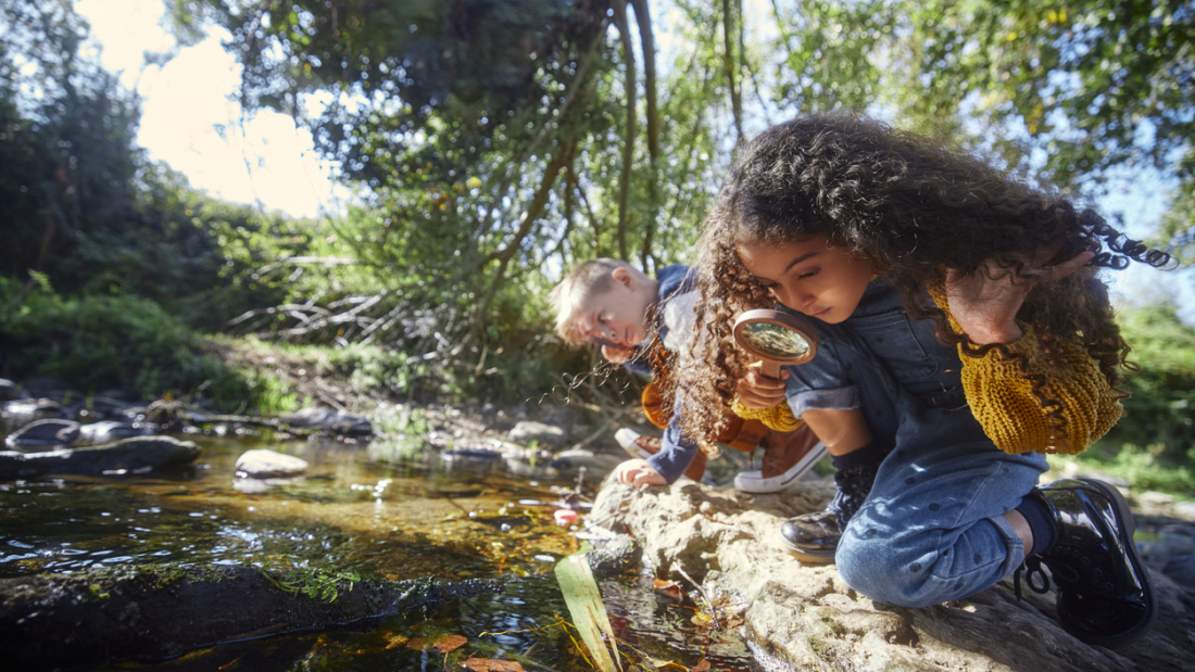 Students observing the outdoor environment