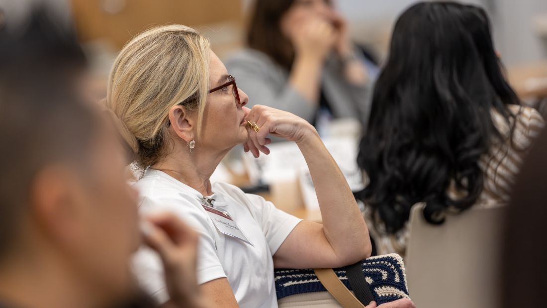 Online master's students listen to a panel