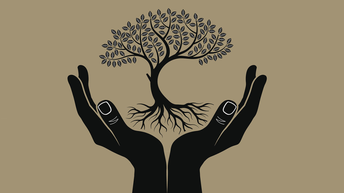 Silouette of hands holding up a rooted tree