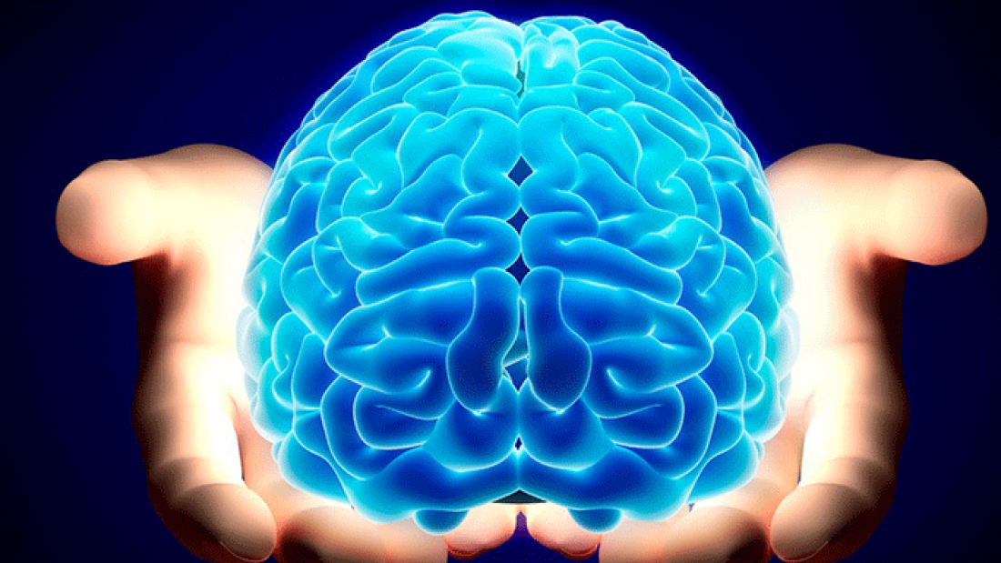 Hands holding a brain illustration