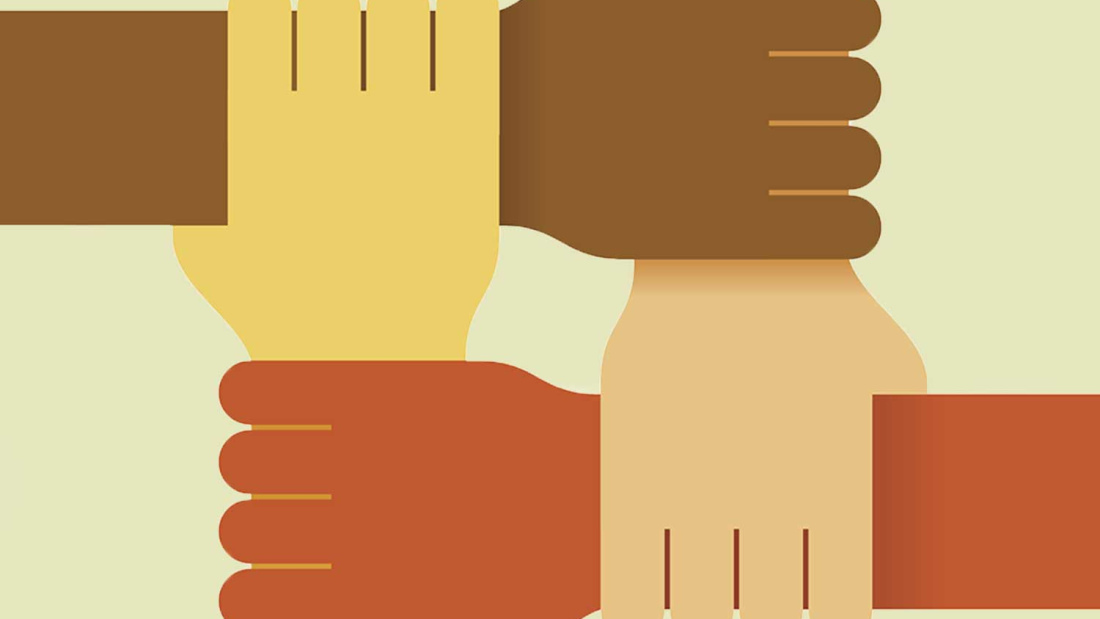 Equity and inclusion fellows