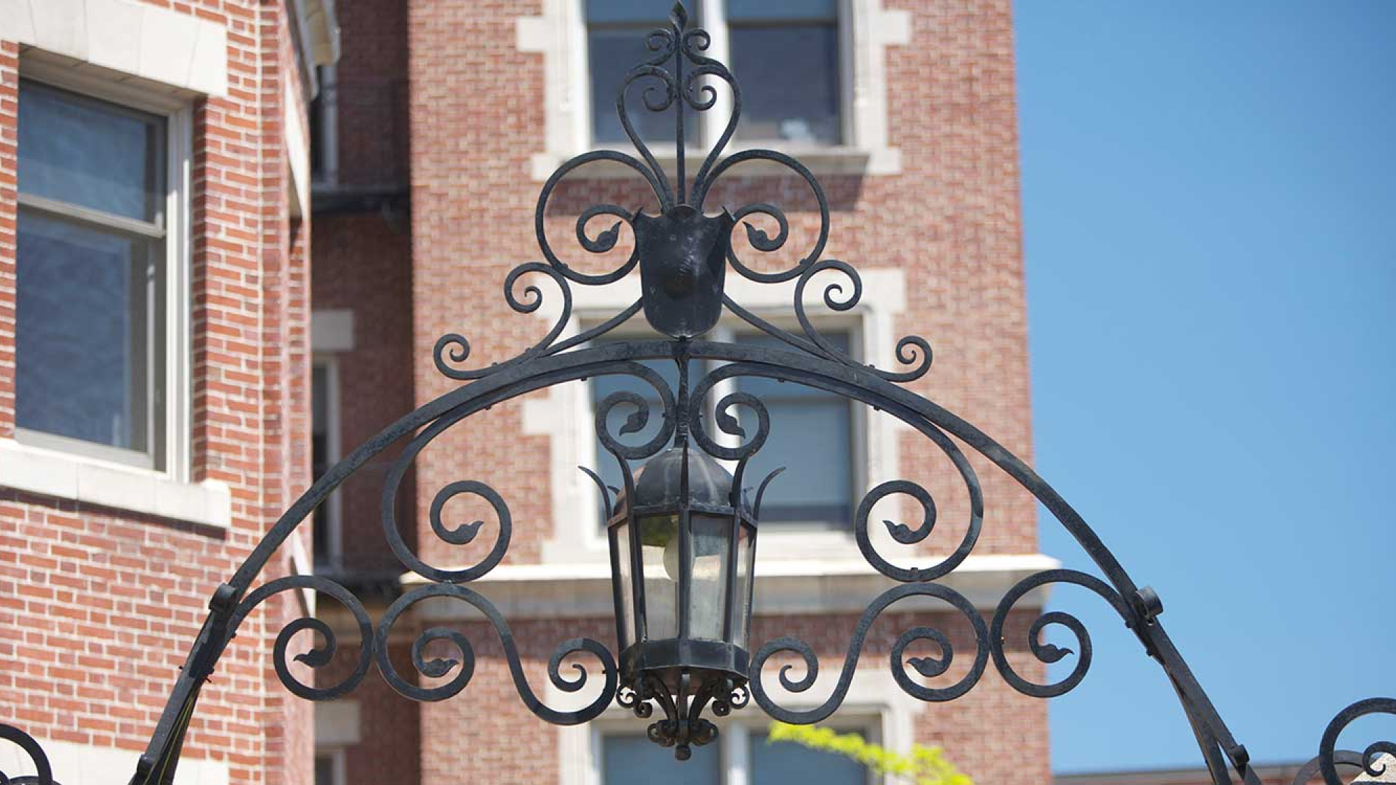 who brought the affirmative action case against harvard