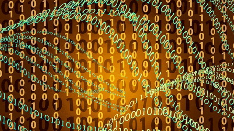 photo of binary code