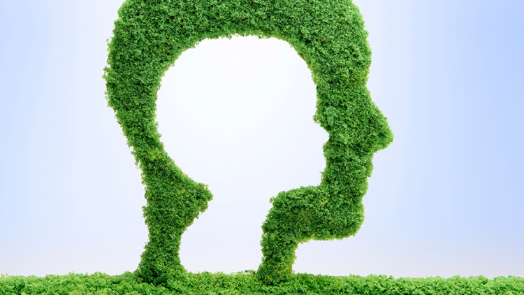 Future of Education: Human Development and Psychology