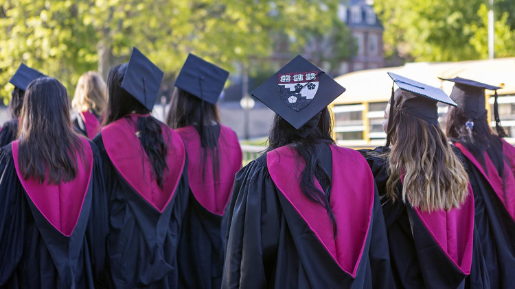 Graduate in mortar board