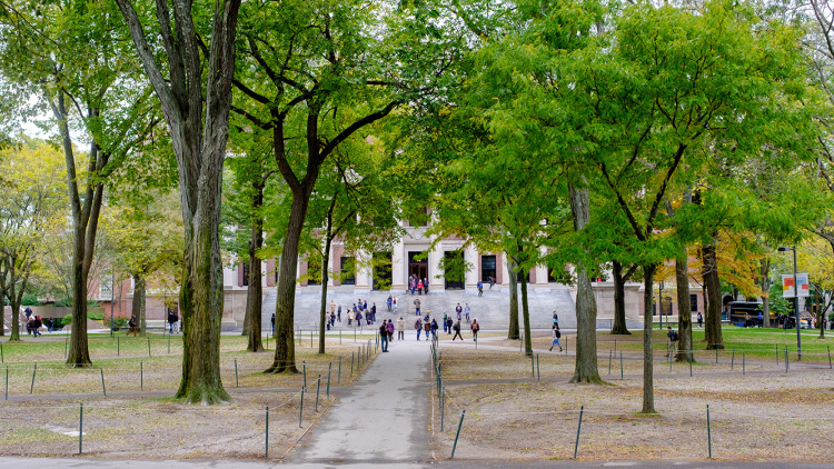 Harvard Yard