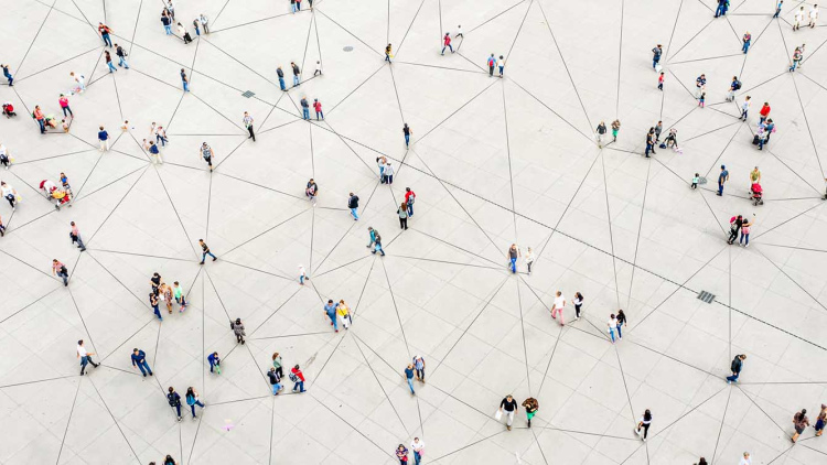 Web of people