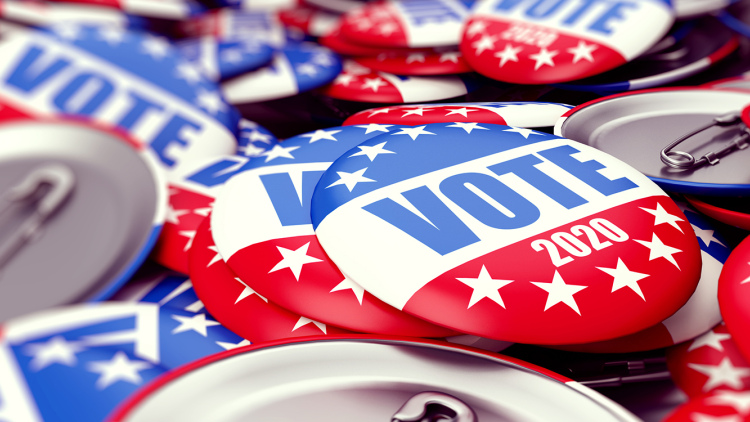 Vote 2020 pins