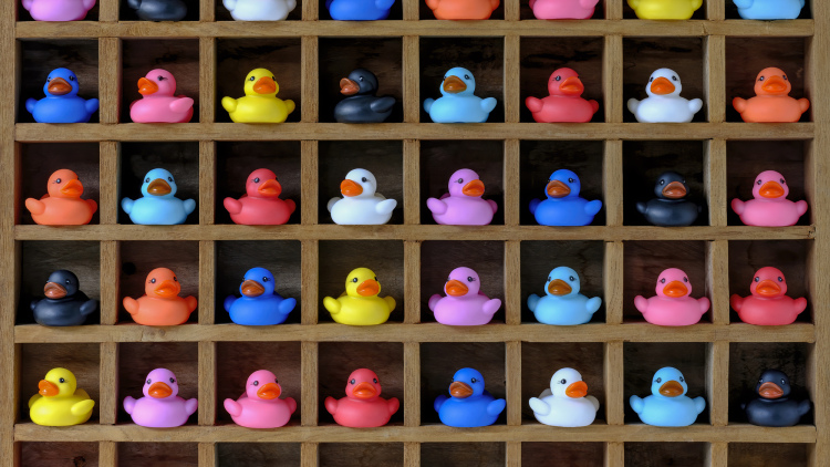 A grid of organized rubber ducks in all different, bright colors.