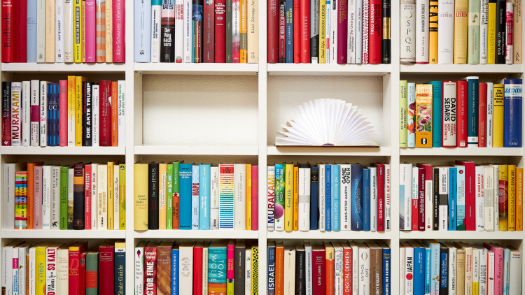 Photo of a bookshelf 