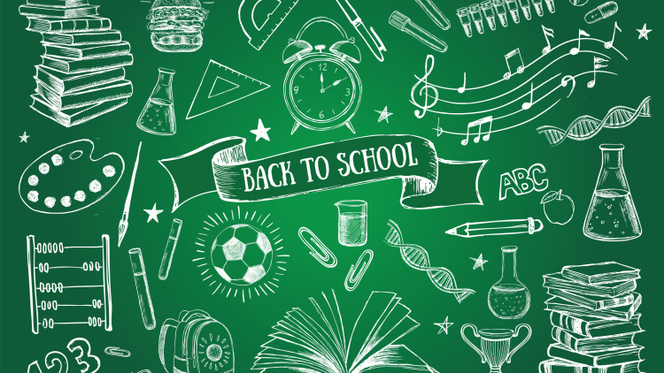 chalkboard with illustrations on it