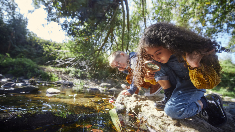 Students observing the outdoor environment