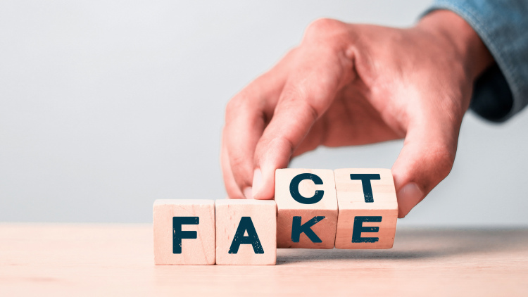 wooden blocks spelling fact and fake