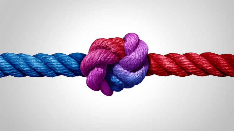 Red and Blue rope tied together