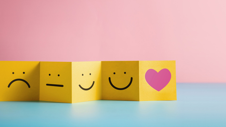 Positive and negative reviews