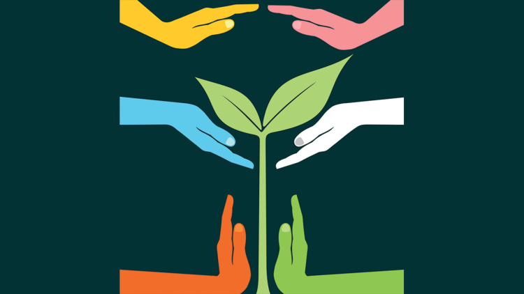 An image of a plant being nurtured by hands of different colors