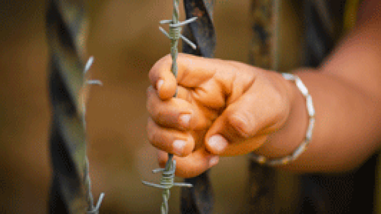 a child's hand on barbed wire