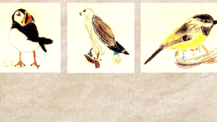 Projects that Soar