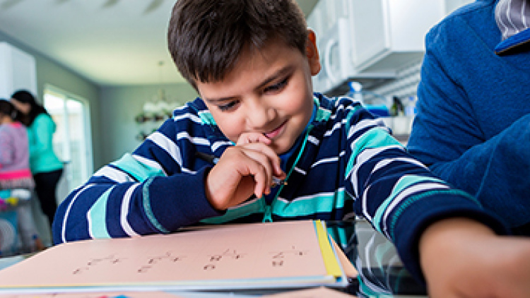 Mathematics, Everywhere for Everyone
