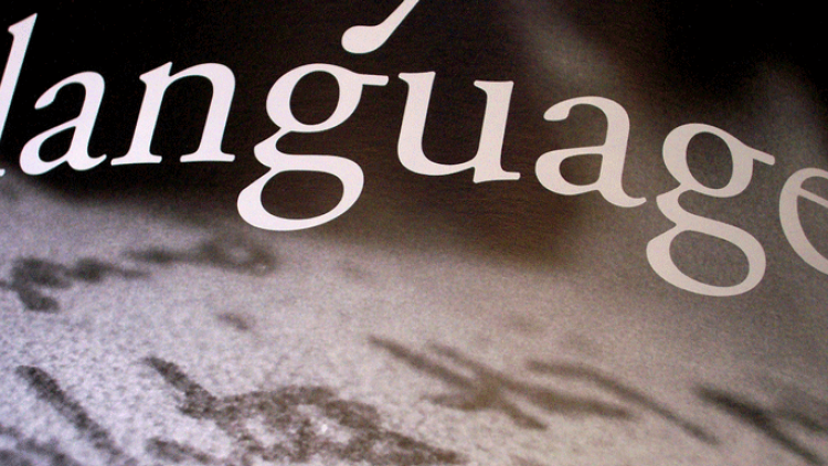 the word language on a book