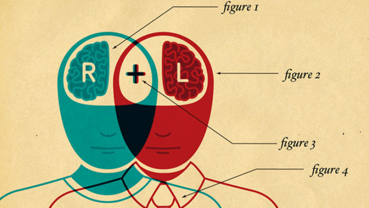 illustration denoting two figures with a left brain and right brain emphasized