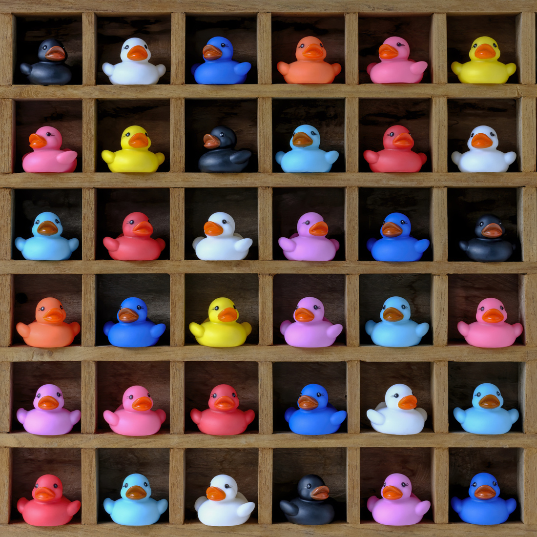 A grid of organized rubber ducks in all different, bright colors.