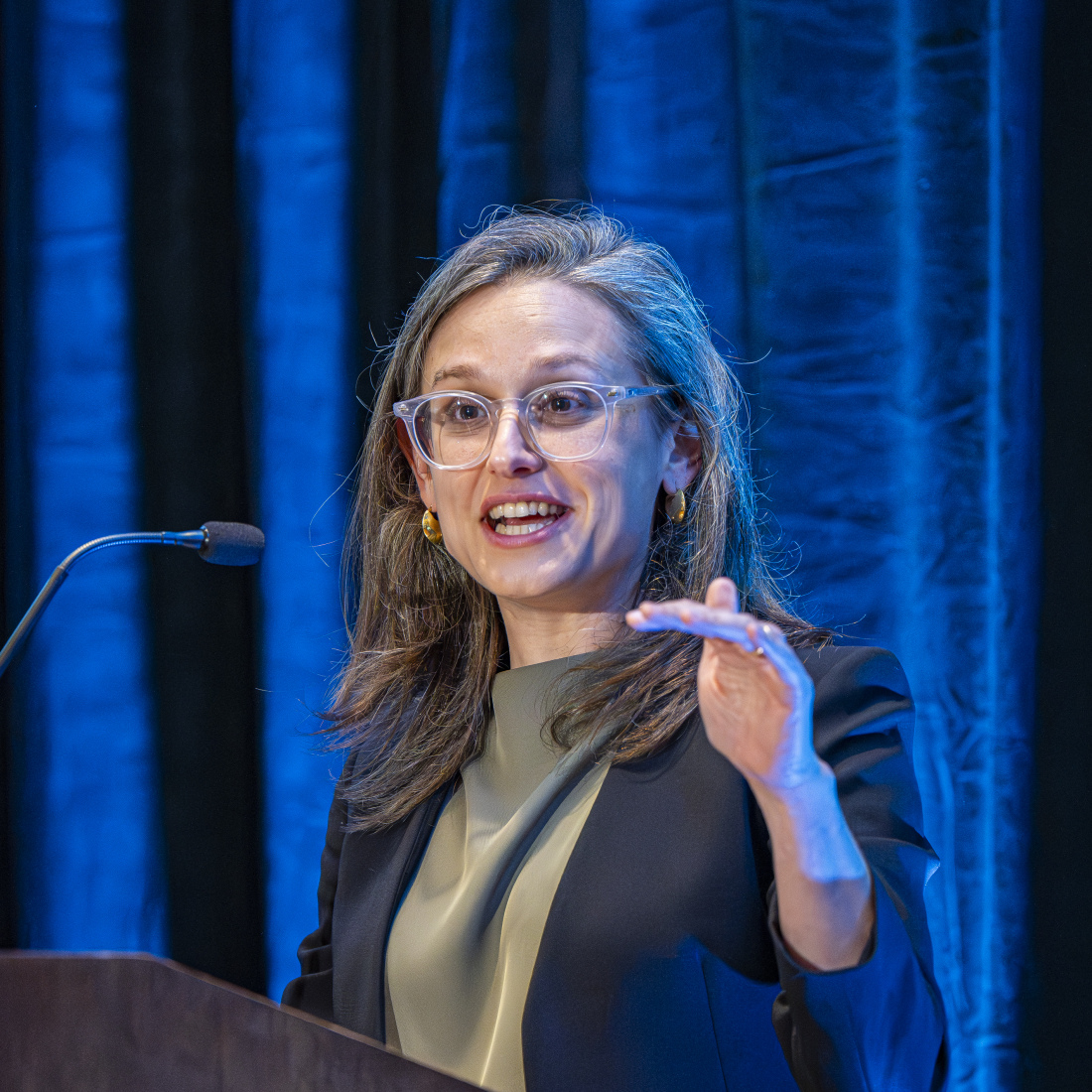 Speaker at the EdRedesign Summer Institute