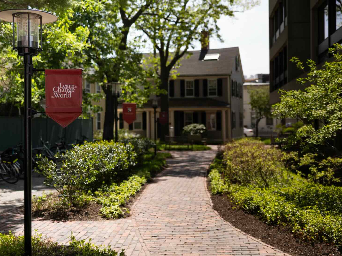 Pathway next to Gutman Library and Nichols House